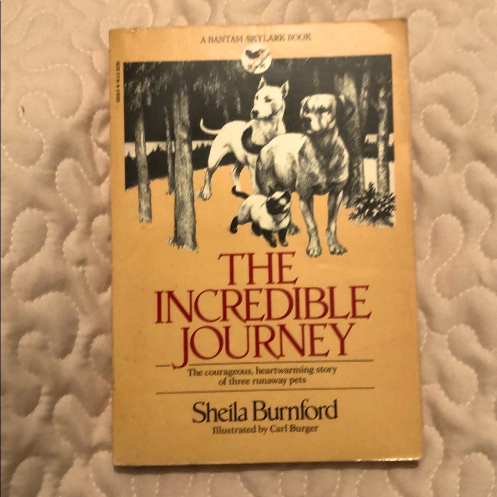 The incredible journey book